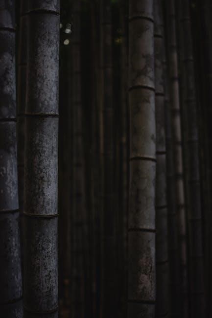 kyoto tour guide