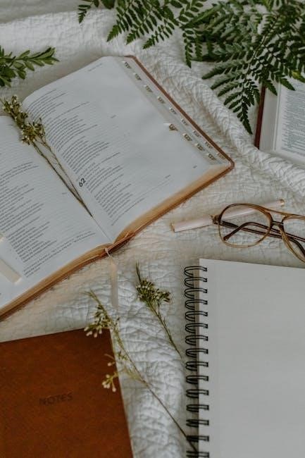 mere christianity study guide questions