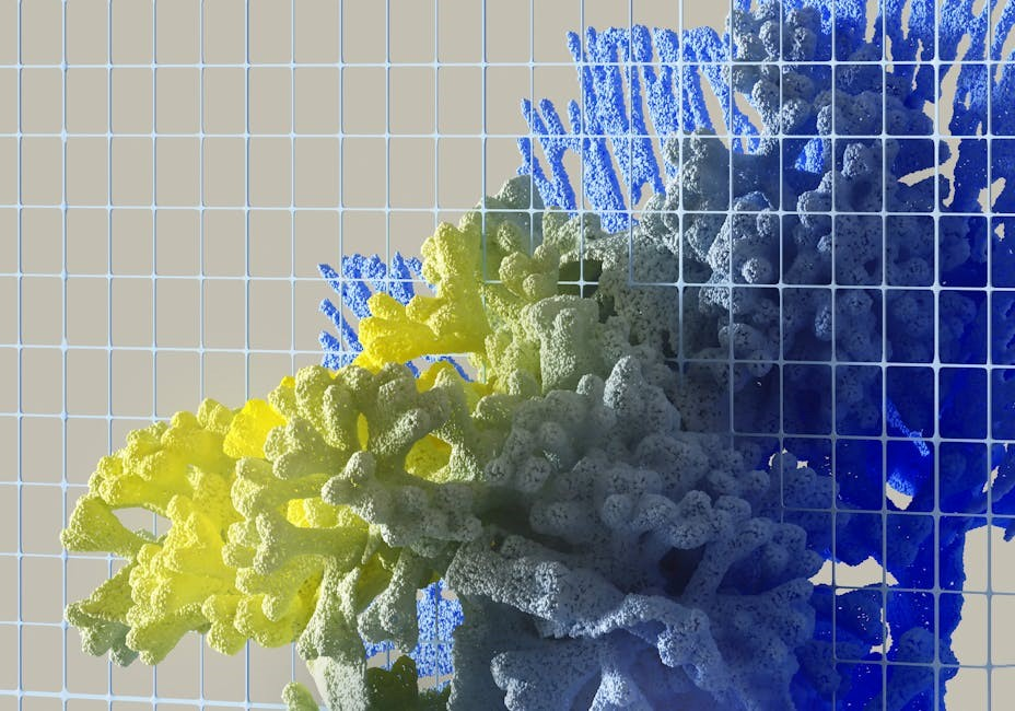 vaughn bioethics 5th edition pdf