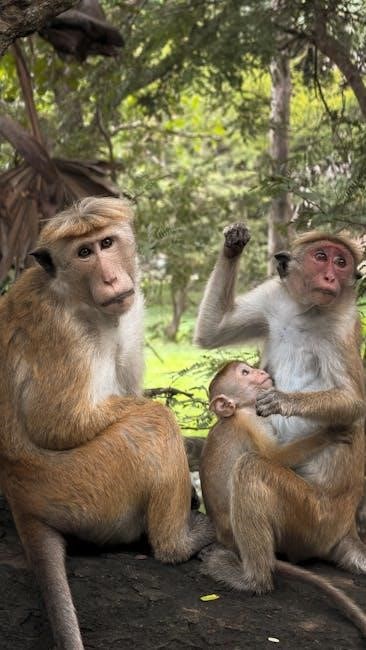 the monkey’s paw pdf